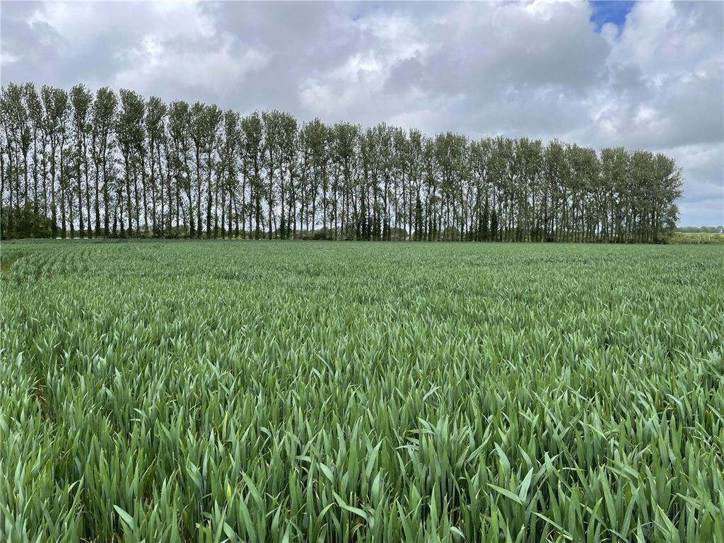 Land At Seavington St. Michael... Land for sale £95,000