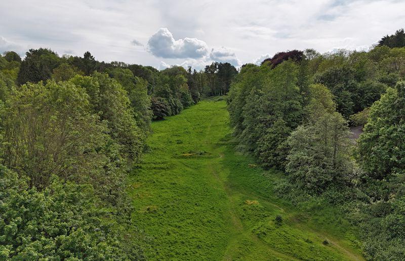 Woodland walk