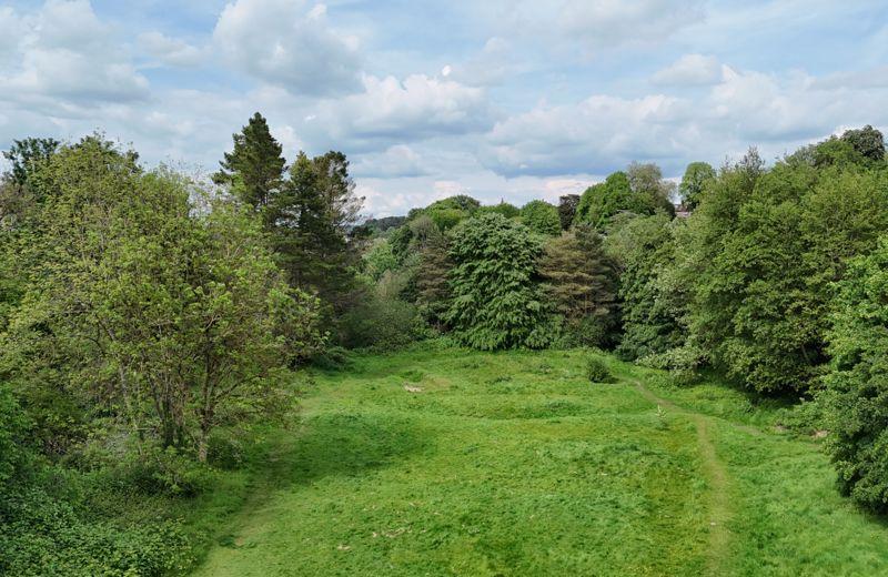 Woodland walk
