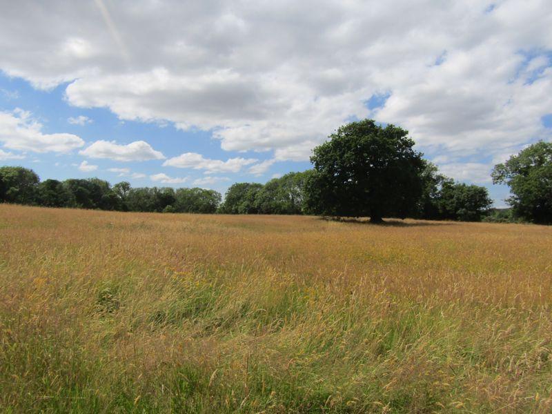 Ivybridge PL21 Land for sale £200,000