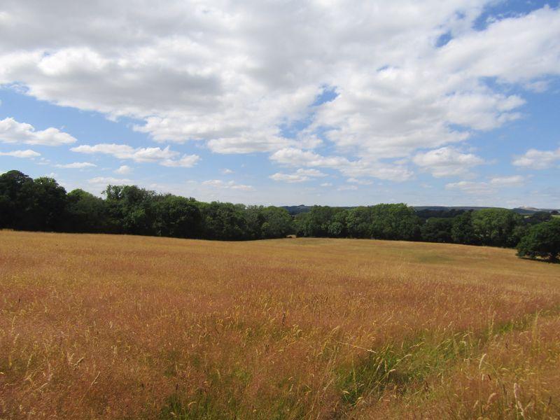 Ivybridge PL21 Land for sale £200,000