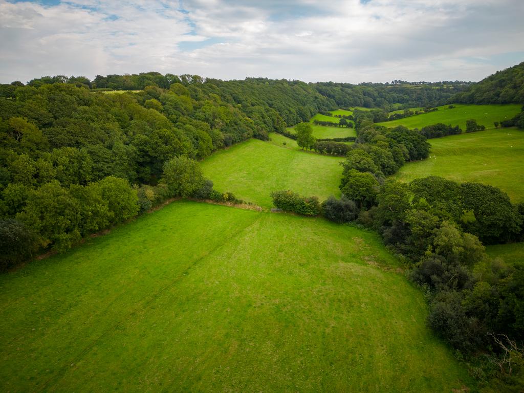 The Land