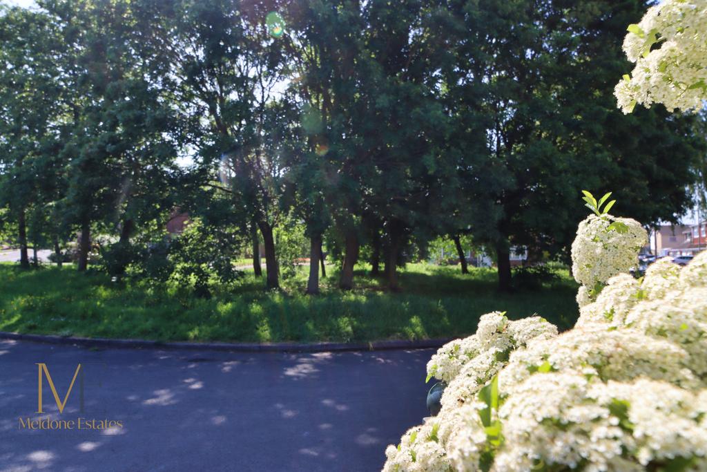 Street Green