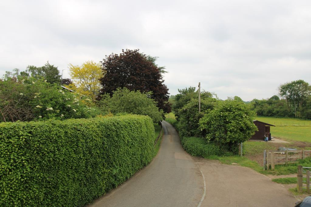 View from bedroom