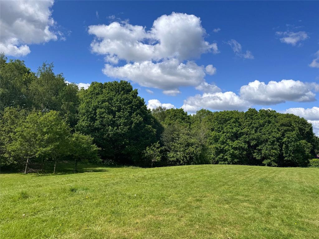 Communal Meadow