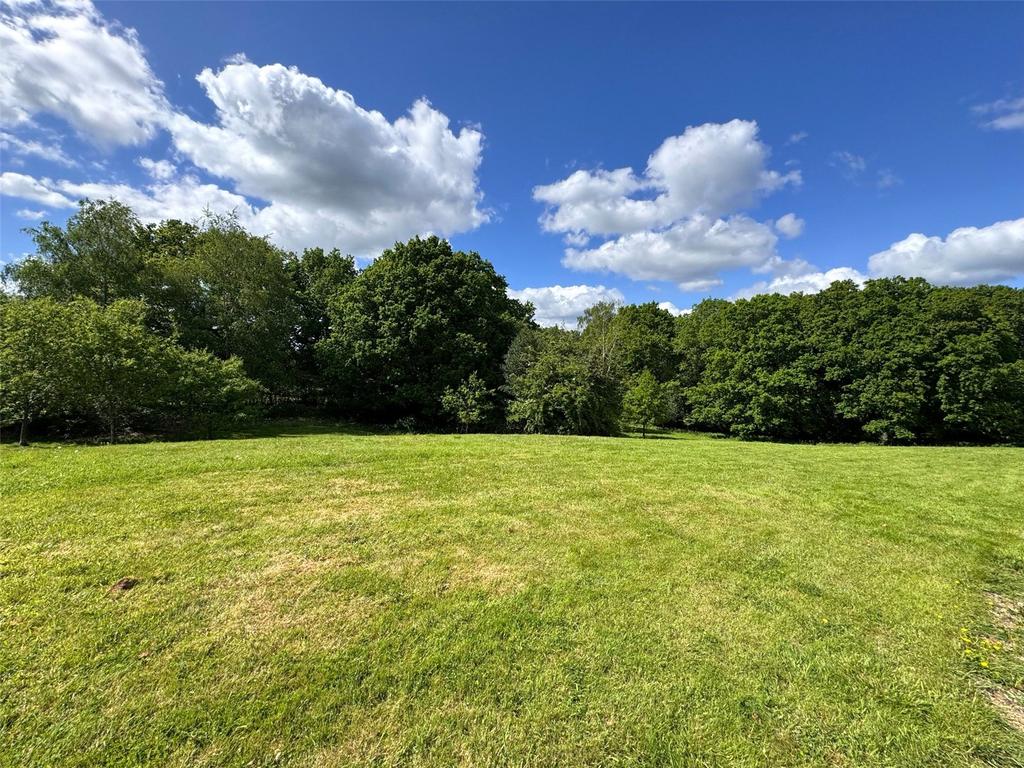 Communal Meadow