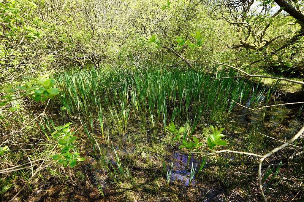 Indian Queens, St. Columb TR9 Land for sale £65,000