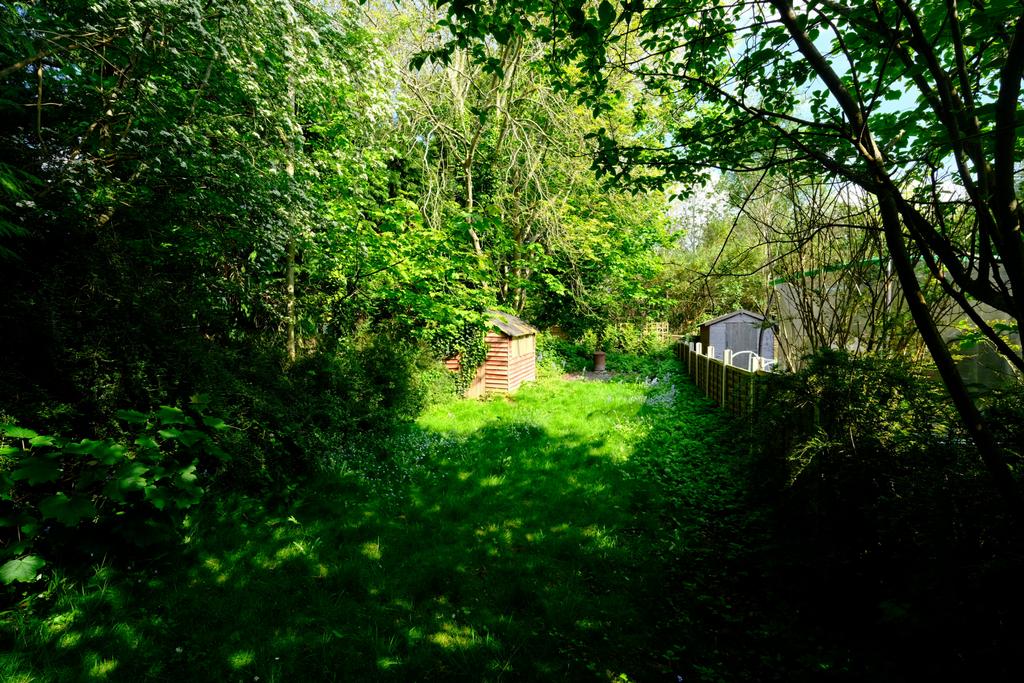 End of Rear Garden