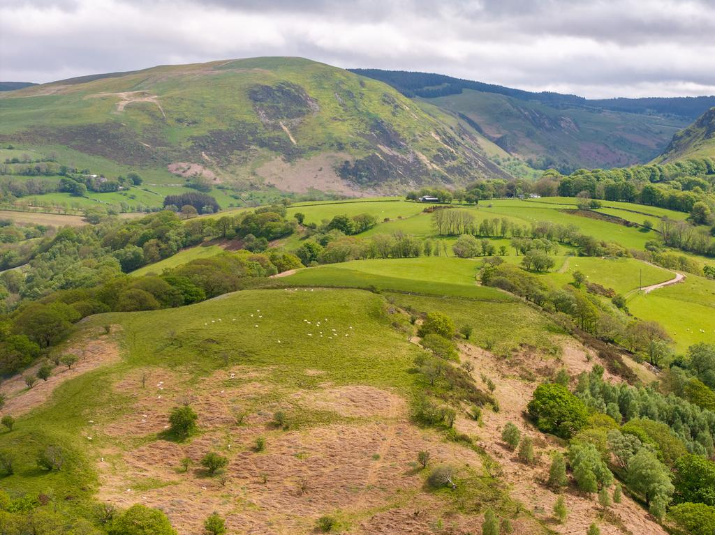 Overlooking cambrian mountains