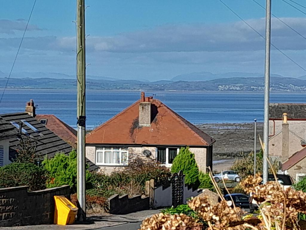 Wilson Grove View