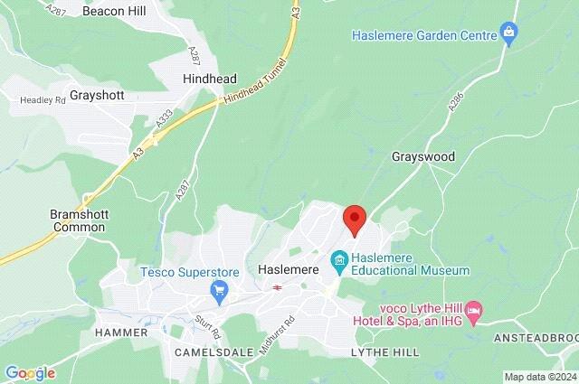 Google Maps Image