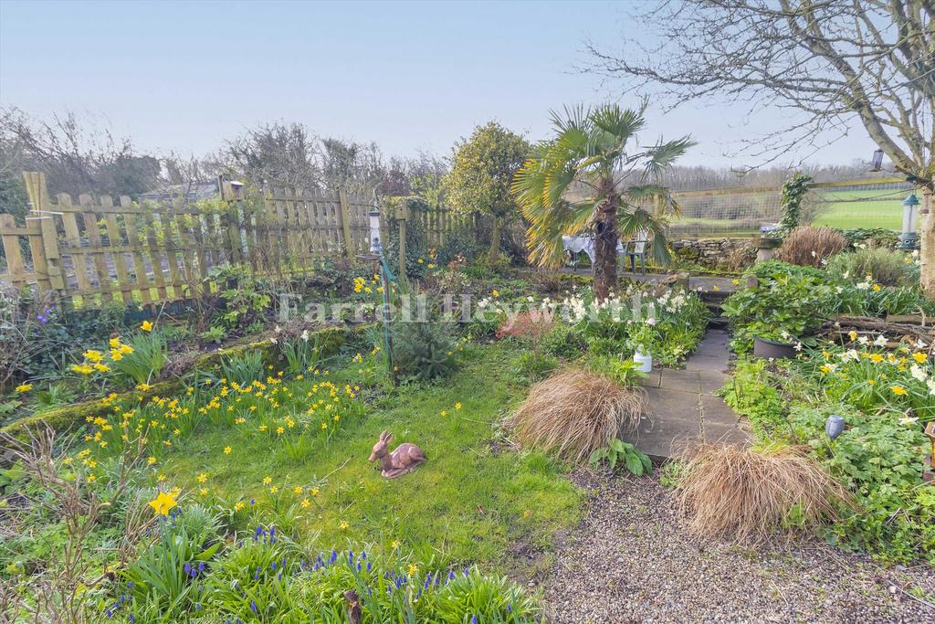 New Rear Garden 2