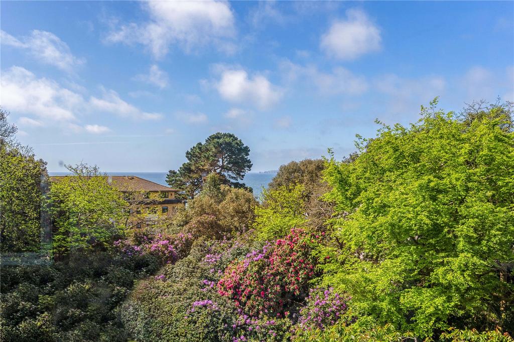 View From Sunroom