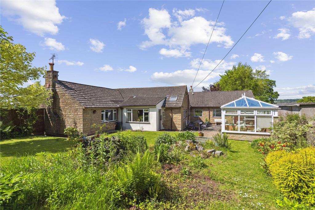 Back Garden