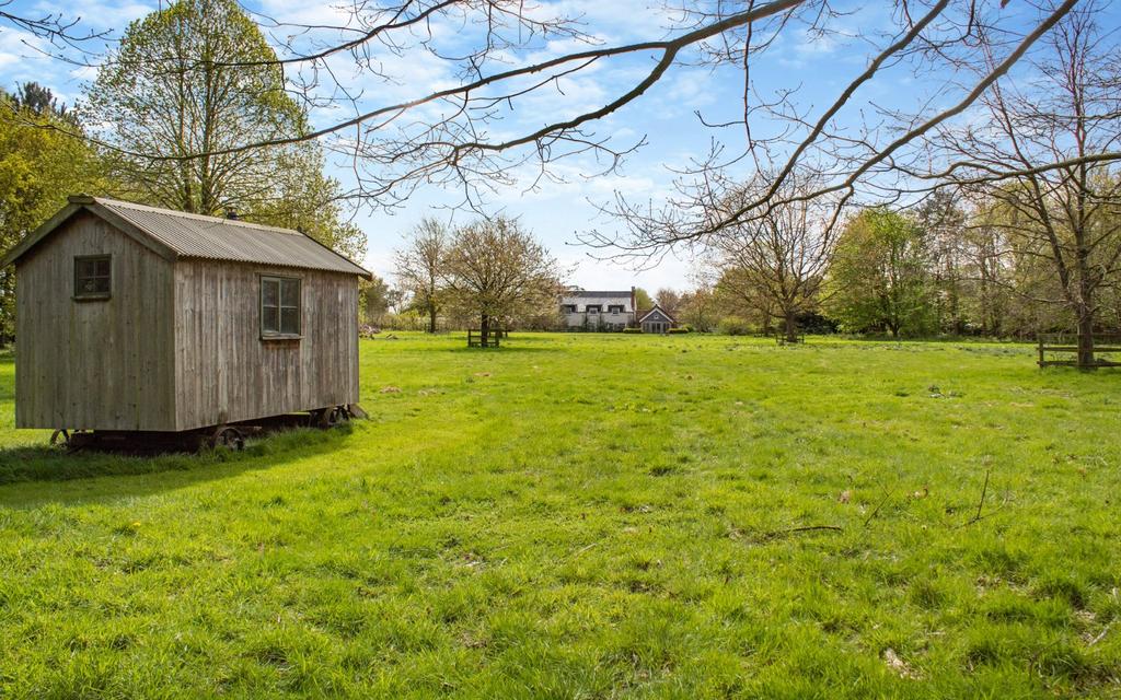Grounds