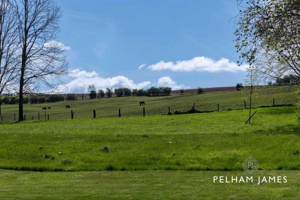 Paddock and Countryside Views, Lime Grange...