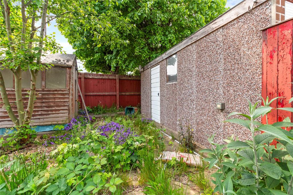 Garden (2)