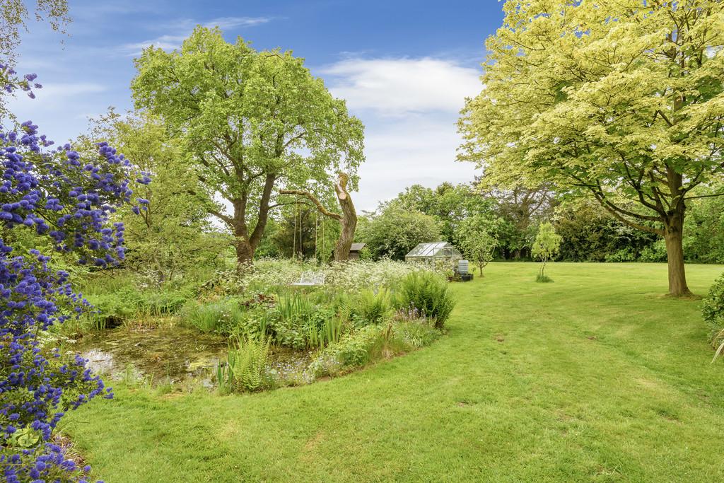 Pond and Swing