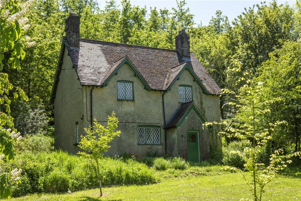 Beech Tree Cottage