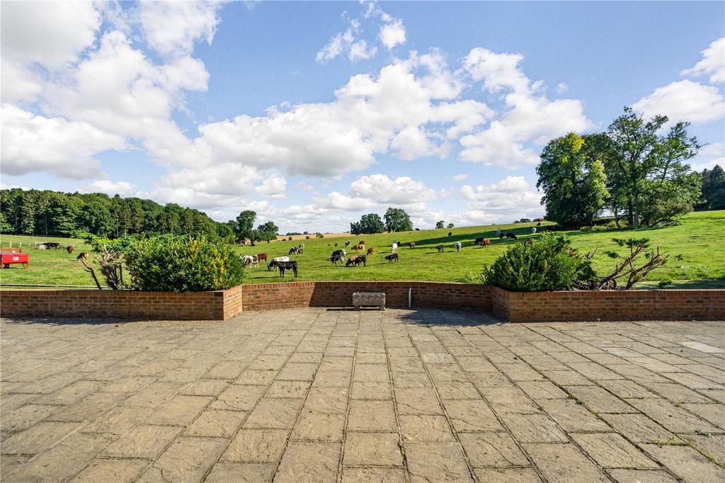 Terrace and Views