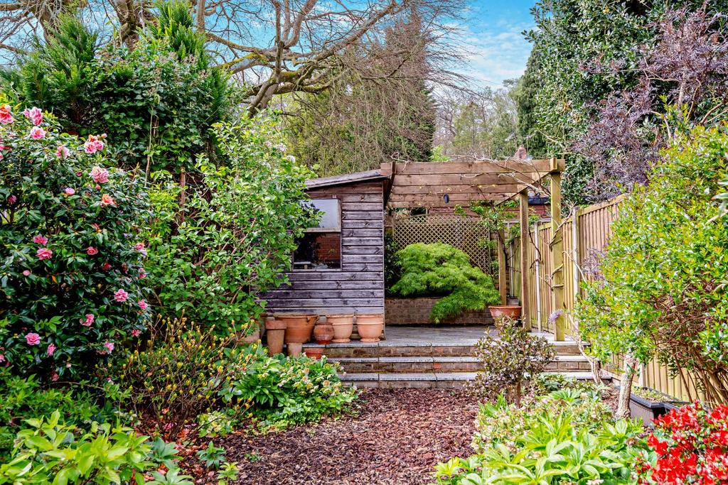 Timber Pergola/Shed
