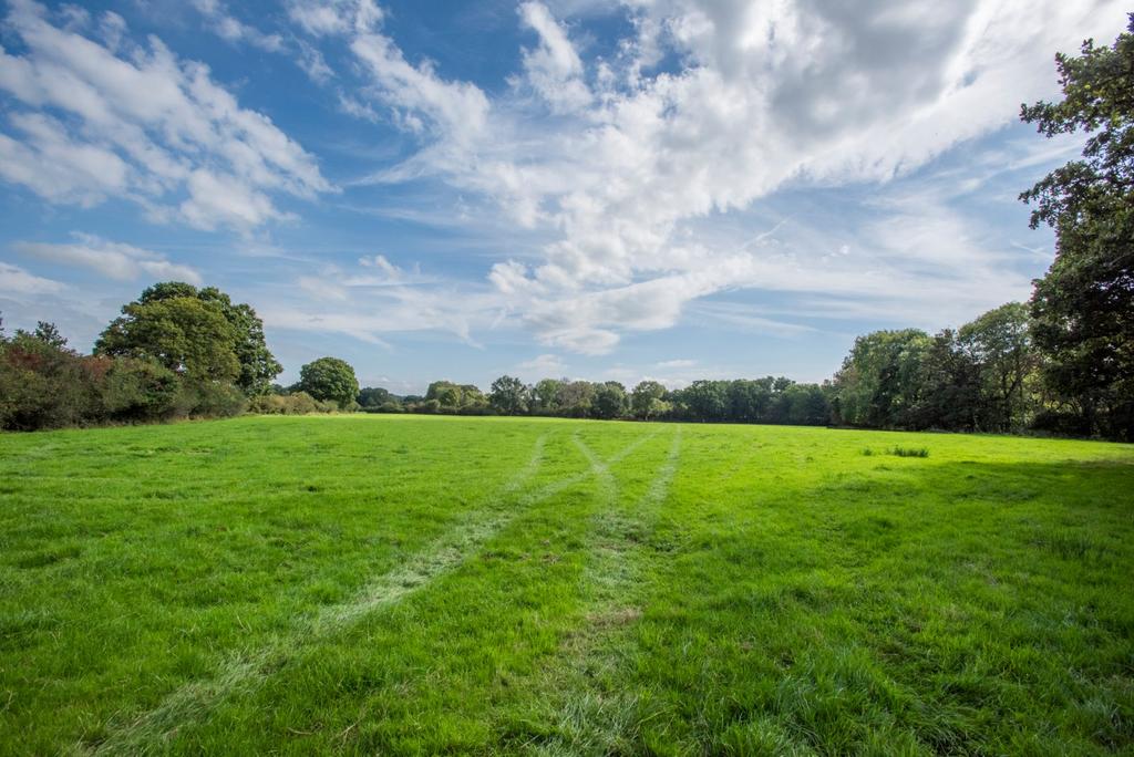 Farmland