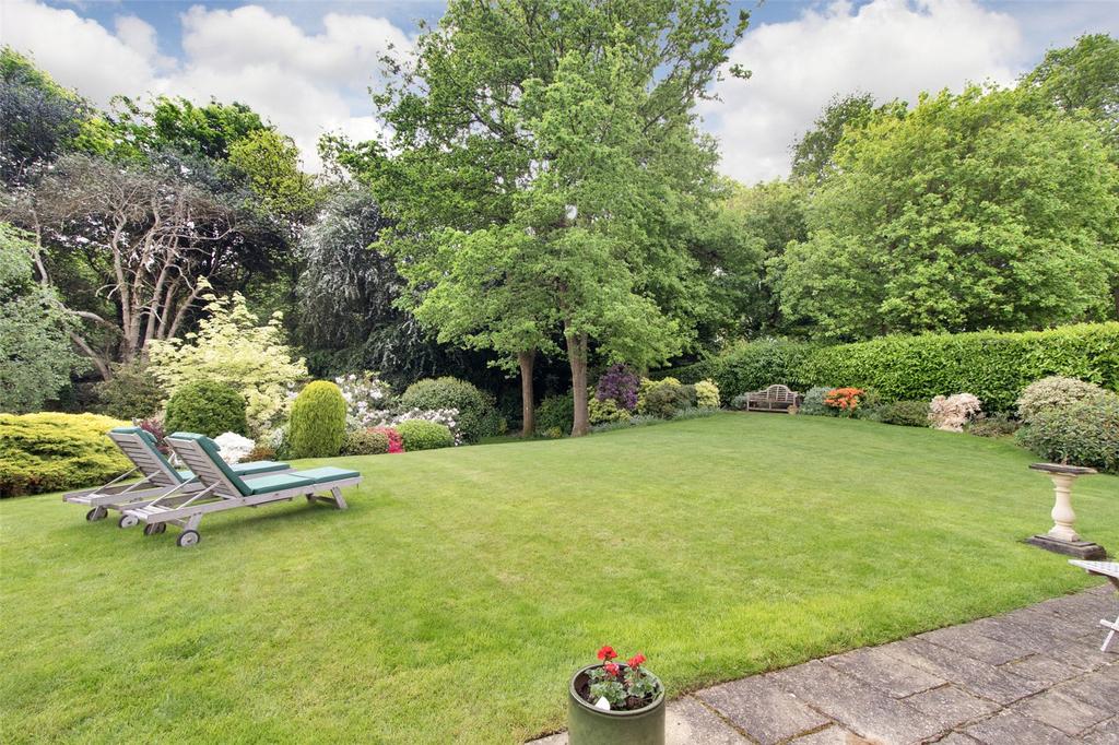 Terrace & Garden