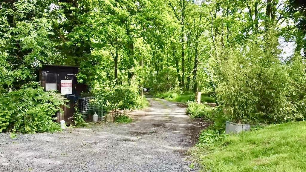 Driveway.jpg