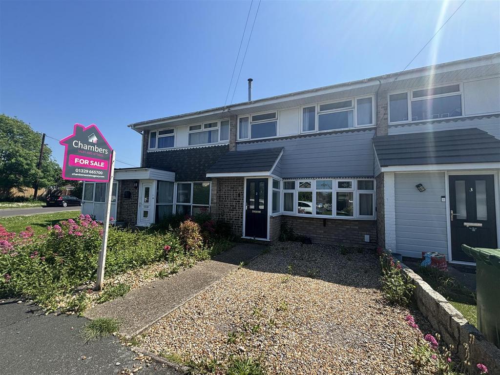 2 sanross.jpg