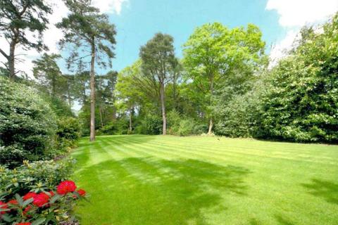 6 bedroom detached house to rent, St Mary's Road, Ascot, SL5 9AY