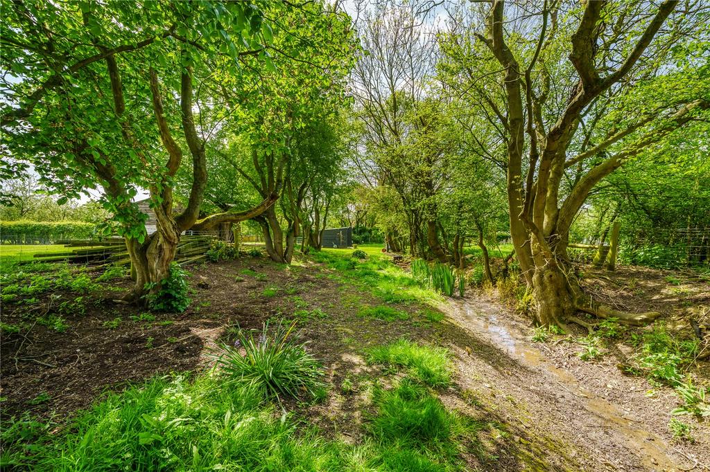 Ancient Trackway