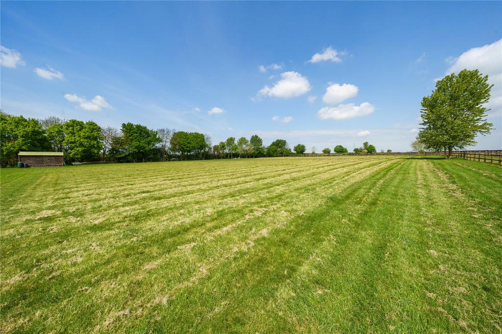 Paddock/Meadow