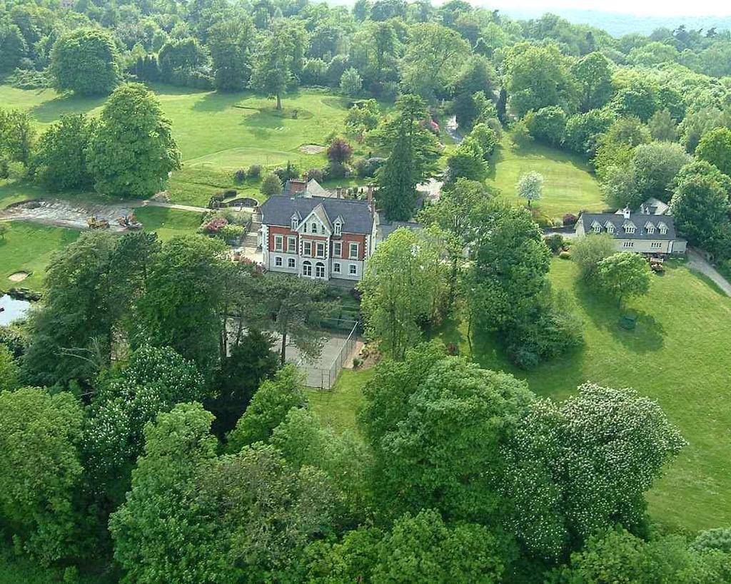 Elevated Shot