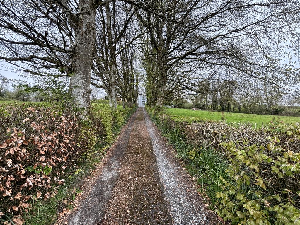 Parking and driveway