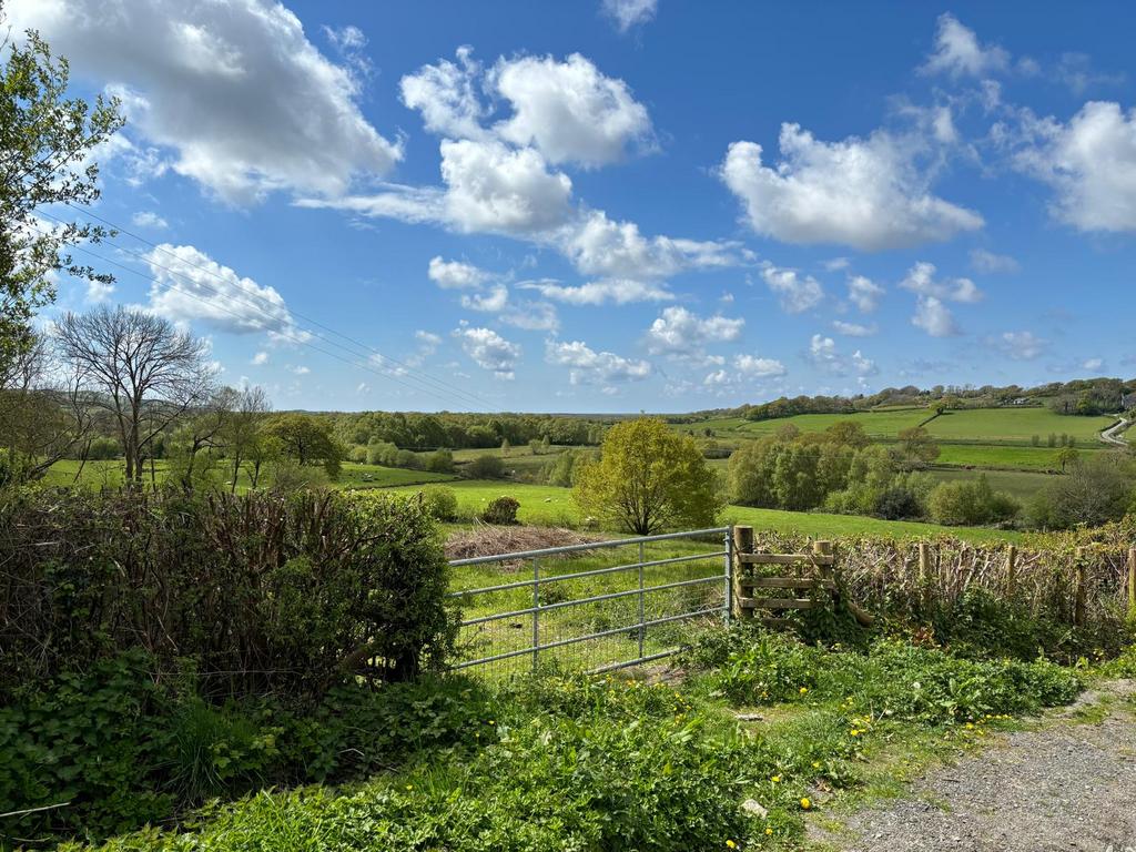 Photo 2024 04 29 09 10 14 5