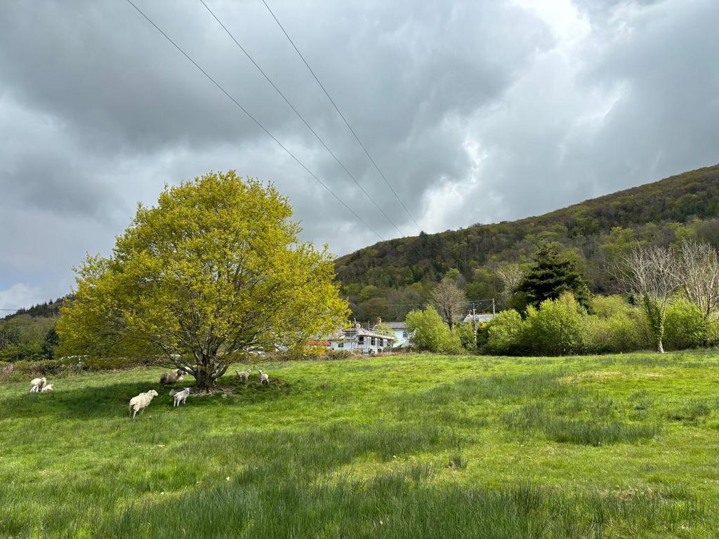 Photo 2024 04 29 09 10 14 2