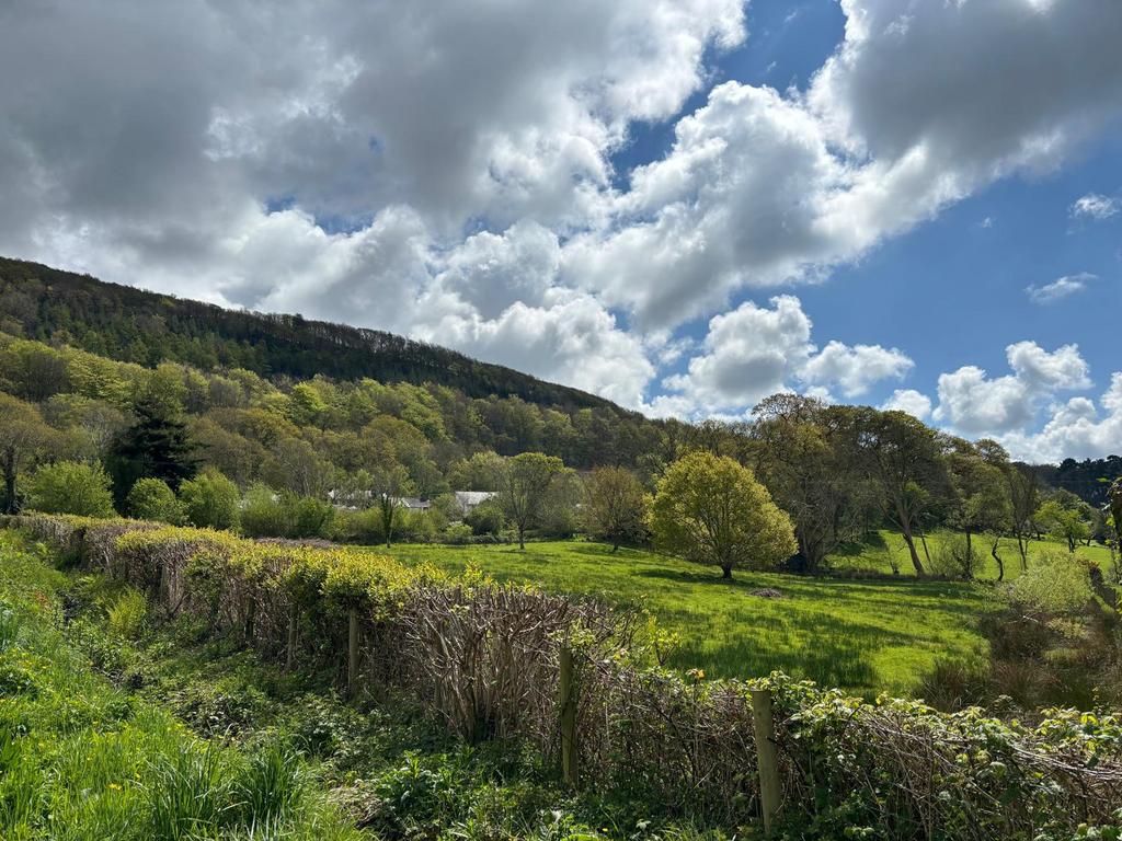 Photo 2024 04 29 09 10 14 3