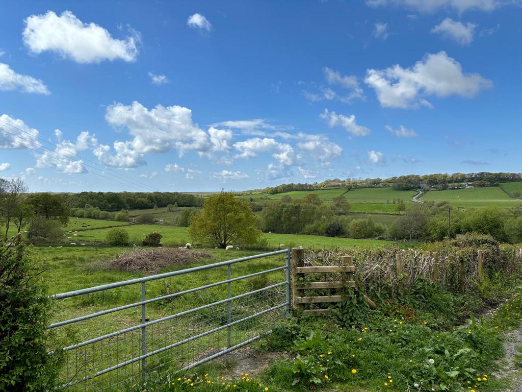 Photo 2024 04 29 09 10 14