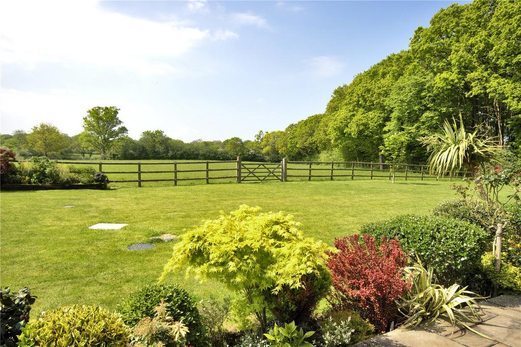 View From Garden
