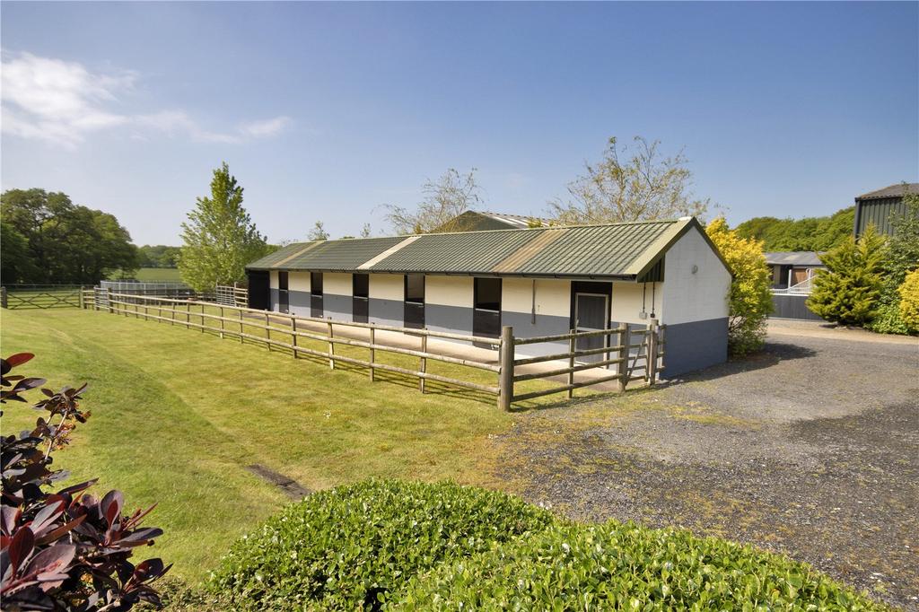 External Yard