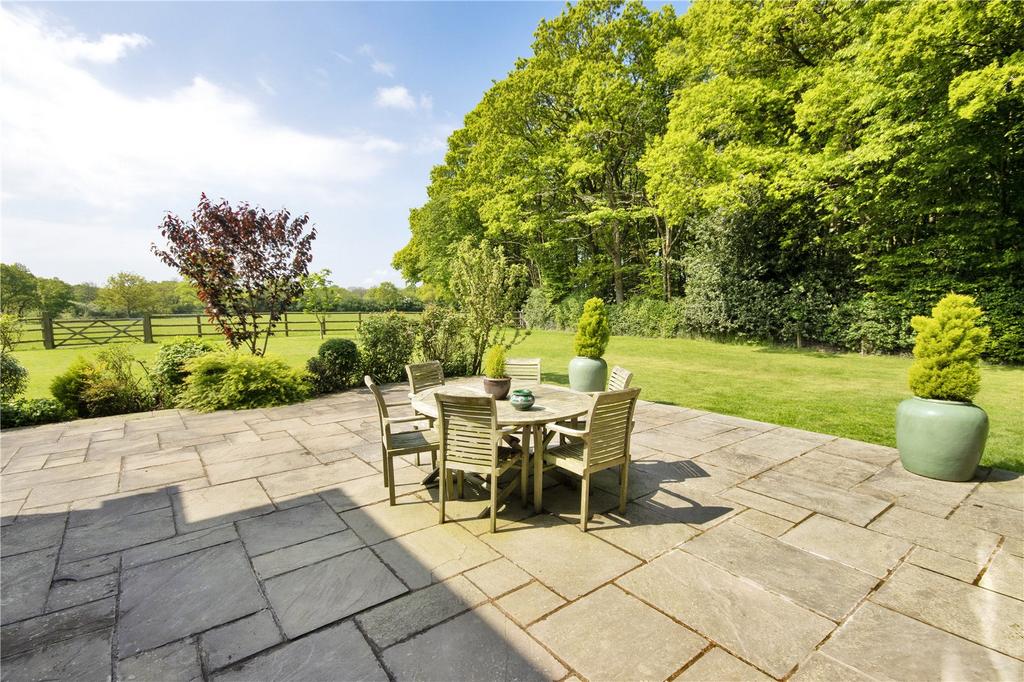 Patio and Garden