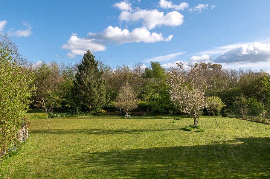 Grounds