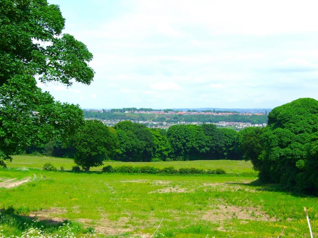 View 3