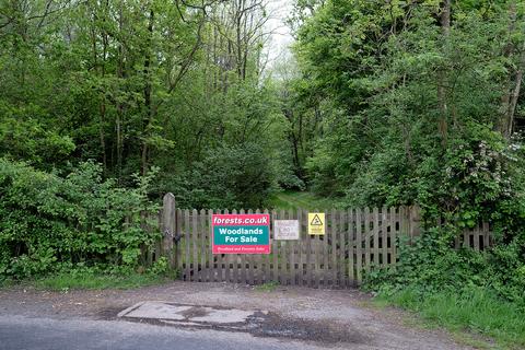 Woodland for sale, Gayhurst, Newport Pagnell MK16