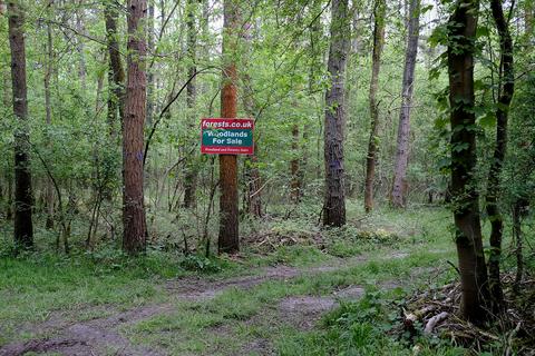 Woodland for sale, Gayhurst, Newport Pagnell MK16