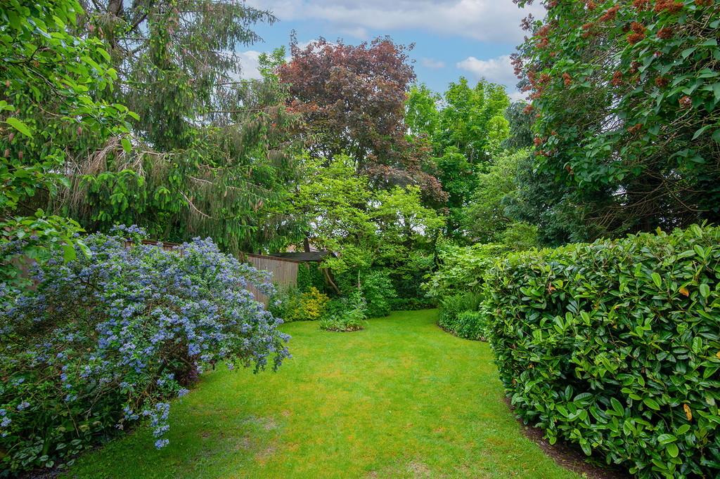 Garden 3