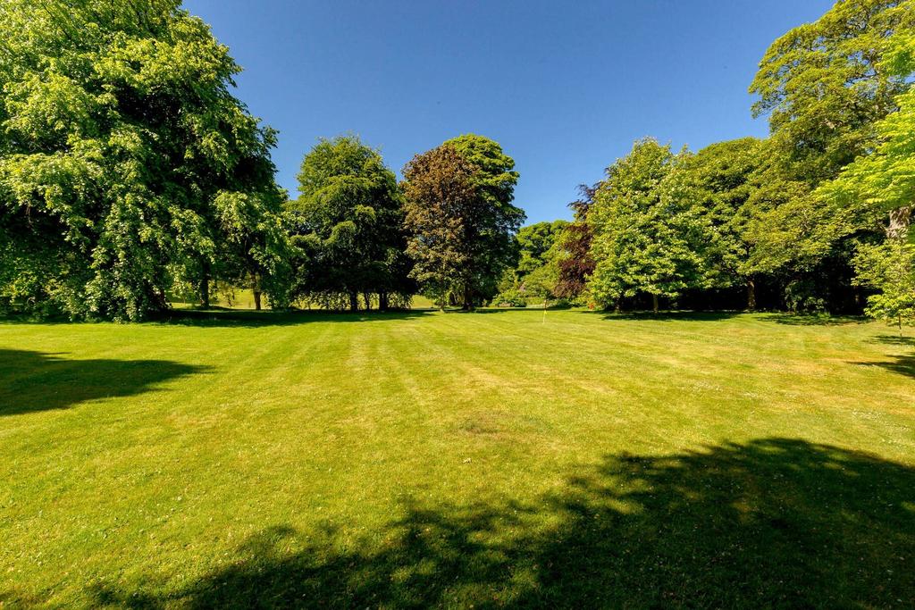 Picture No. 28