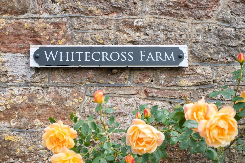Whitecross Farm