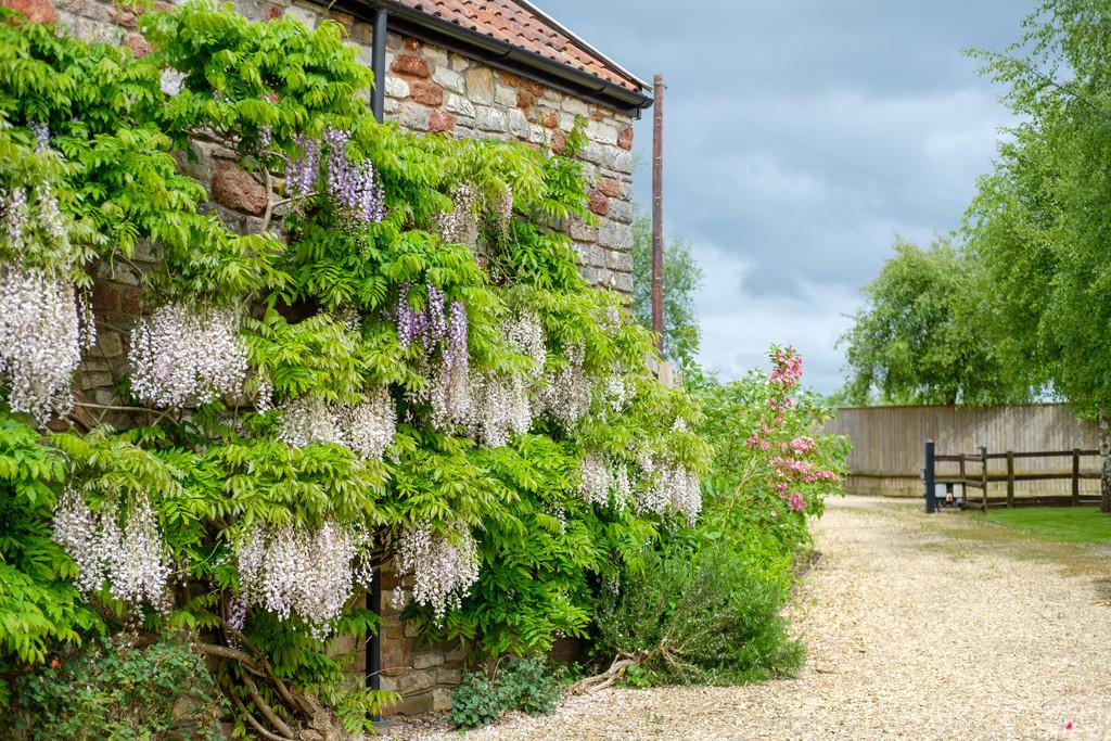 Whitecross Farm