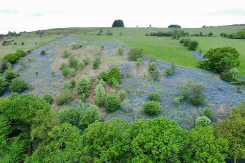 Farm land for sale, Aberogorlech, Carmarthen